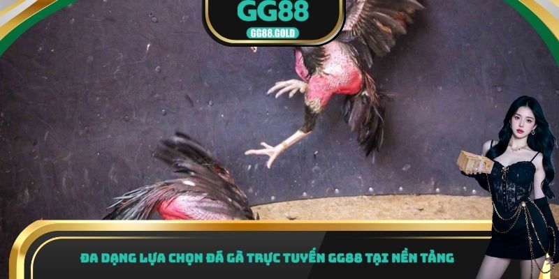 Đa dạng lựa chọn đá gà trực tuyến GG88 tại nền tảng