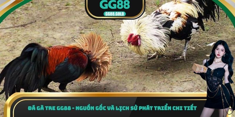 Đá Gà Tre GG88