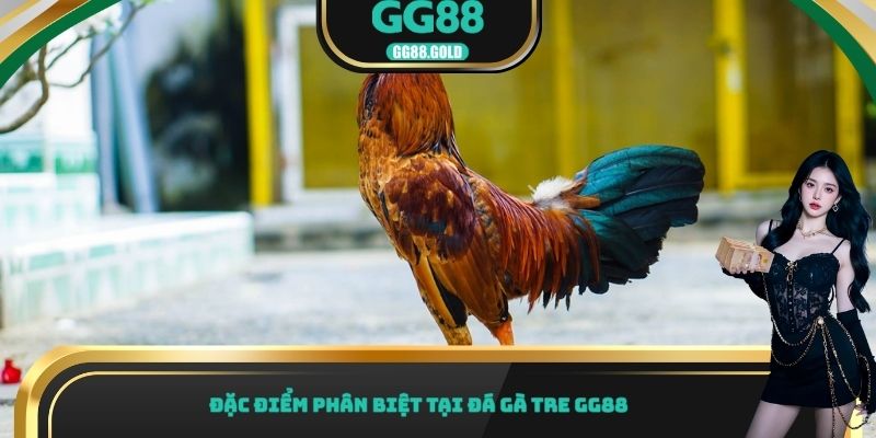 Đặc điểm phân biệt tại đá gà tre GG88